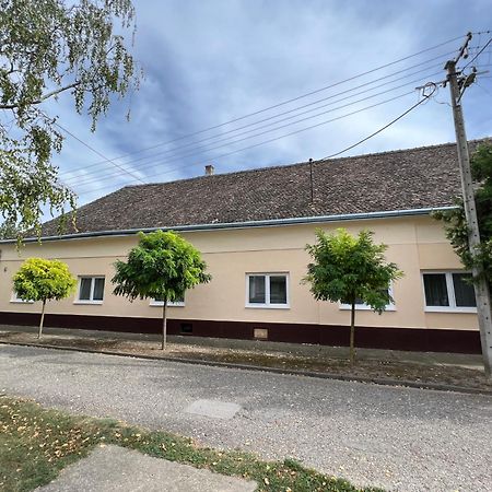 Bezdan Guesthouse Exteriér fotografie