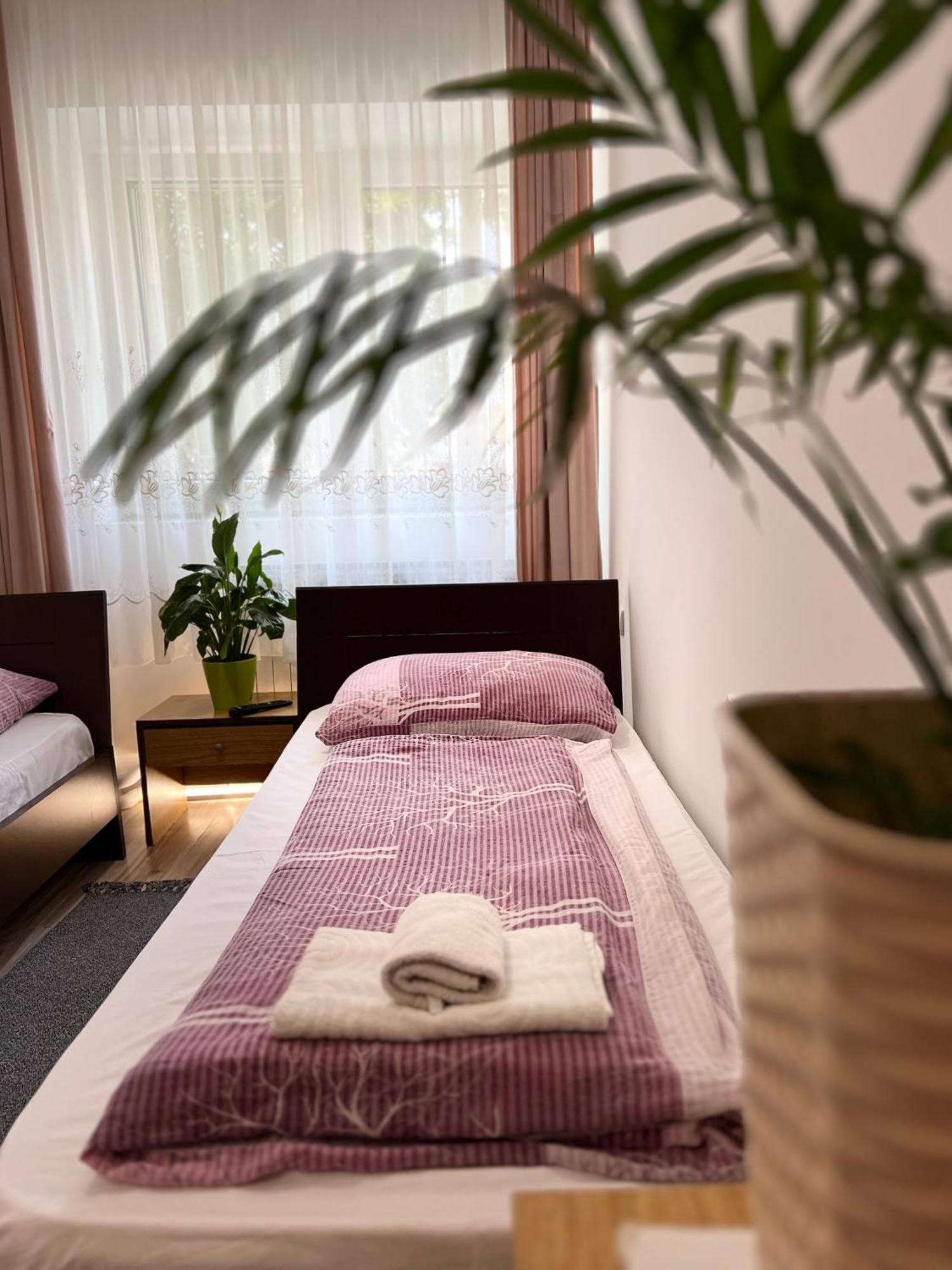 Bezdan Guesthouse Exteriér fotografie