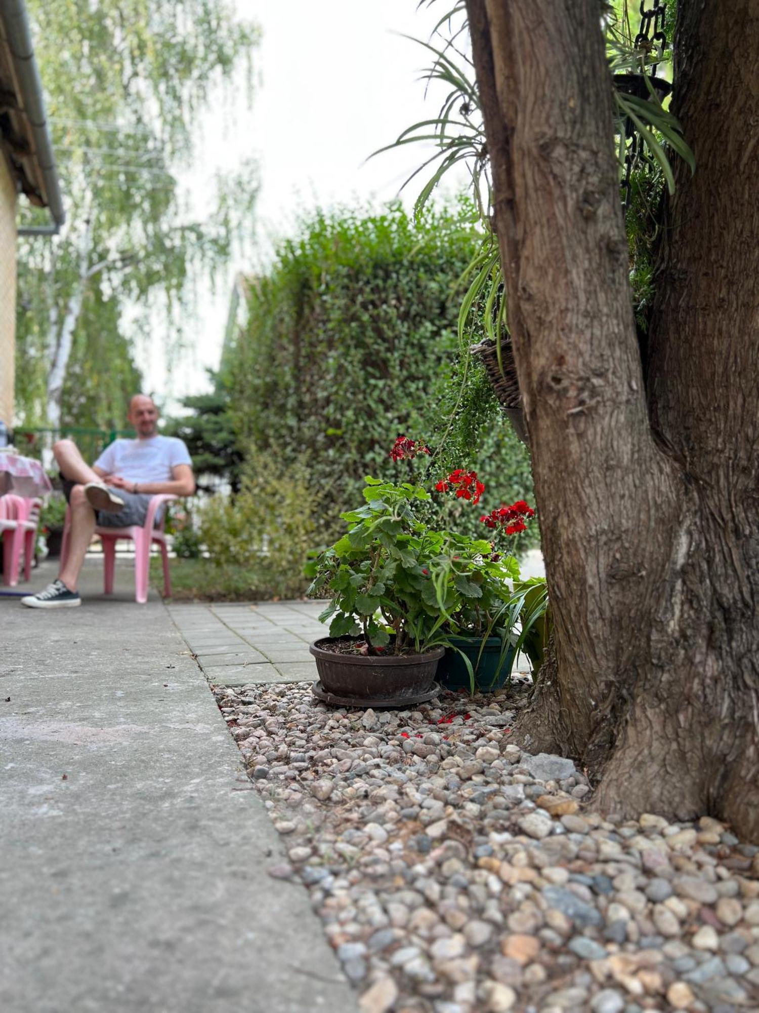 Bezdan Guesthouse Exteriér fotografie