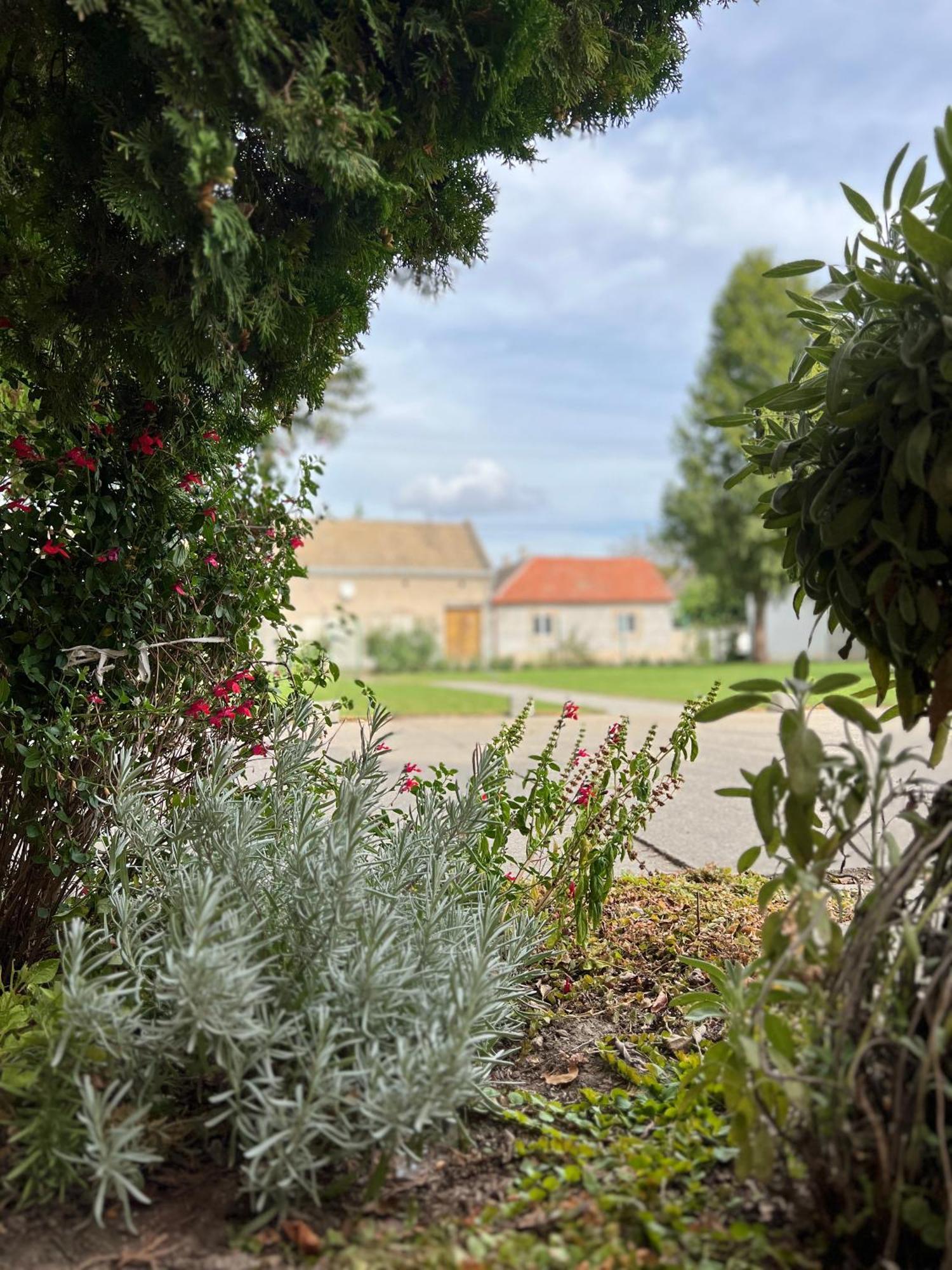 Bezdan Guesthouse Exteriér fotografie